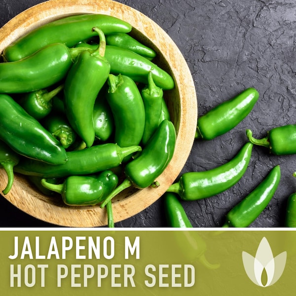 Jalapeno Pepper Heirloom Seeds