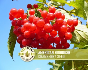 May include: A cluster of bright red American Highbush cranberry seeds, with green leaves and a clear blue sky background. The image includes the Seed Geeks logo and text.