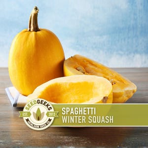 May include: A whole, bright yellow spaghetti winter squash with a long stem, next to two cut pieces. The squash sits on a small cloth, with a logo that reads "Seed Geeks" and the text "Spaghetti Winter Squash".