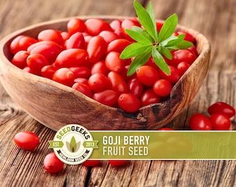 Goji Berry Seeds – Lycium Chinense, Heirloom Non-GMO (50 Seeds)