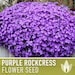 see more listings in the Flower Seeds section