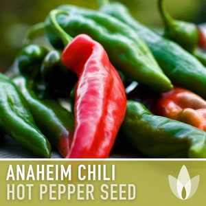 Anaheim Chili Pepper Heirloom Seeds