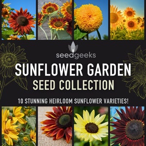 Sunflower Garden Seed Collection - 10 Stunning Varieties of Heirloom Sunflowers, Birthday Gift, Stocking Stuffer, Open Pollinated, Non-GMO