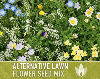 Alternative Lawn Heirloom Seed Mix - Seed Packets, Flower Seeds, Herb Seeds, Non GMO, Open Pollinated, Native Seeds, Wildflower Seeds