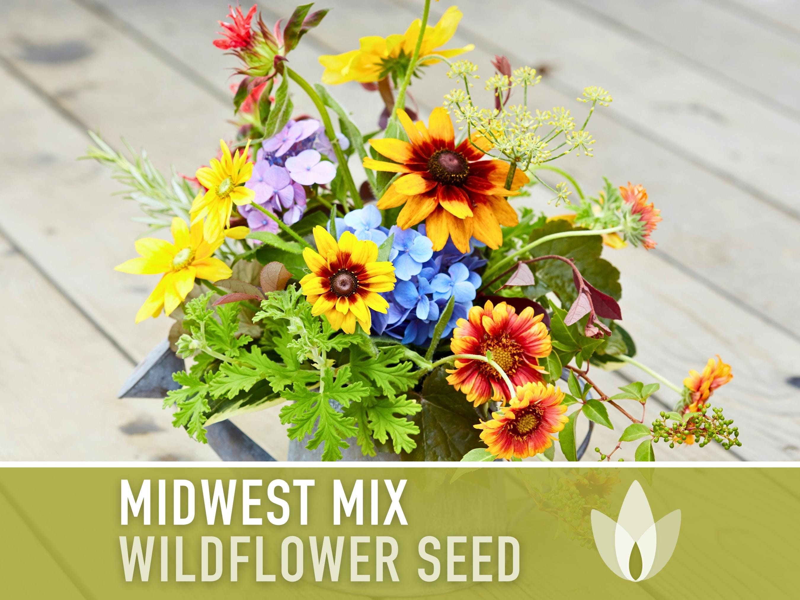 Midwest Wildflower Mix