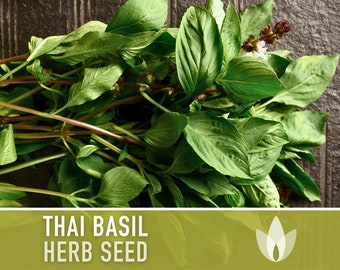 Thai Basil Herb Heirloom Seeds