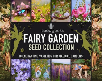 Fairy Garden Seed Collection – 10 Heirloom Flower Varieties, Non-GMO