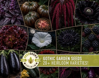 Gothic Garden Seeds | 20+ Heirloom, Witchy Cottage Garden, Dark Flower Vegetable Herb, Black Cottagecore