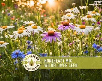 Northeast Wildflower Seed Mix – 100+ Heirloom, Native Flowers