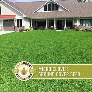 May include: A lush green lawn of micro clover in front of a large house. The lawn is dense and even, with a vibrant green color. The image includes the text "MICRO CLOVER GROUND COVER SEED" and the SeedGeeks logo.