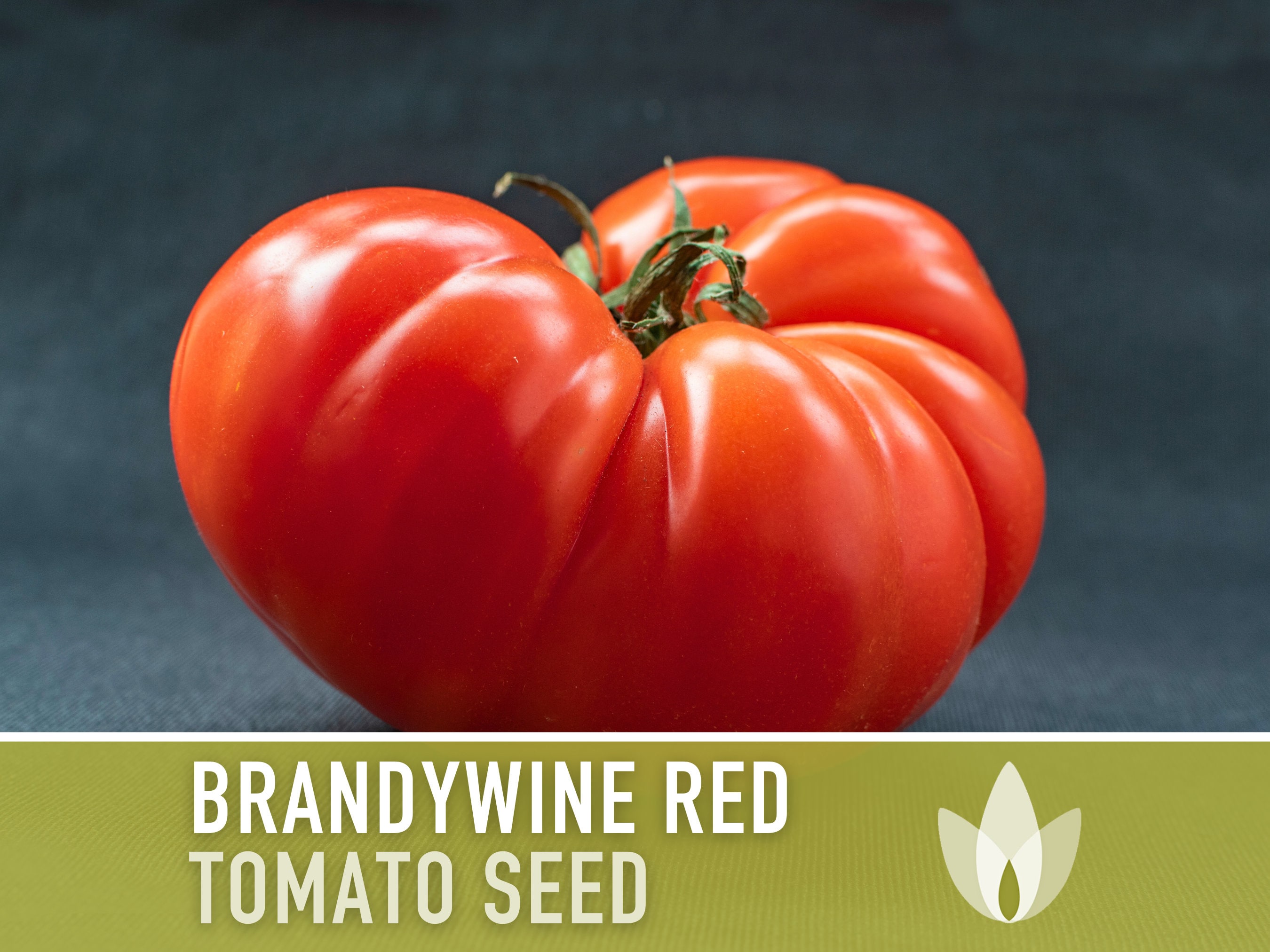 Sudduth Strain Brandywine Tomato
