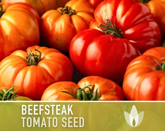 Beefsteak Tomato Heirloom Seeds