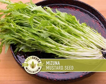 Mizuna Mustard Greens Heirloom Seeds