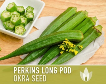 Perkins Long Pod Okra Seeds - 100 Count Seed Pack - Non GMO - An Heirloom Variety That Dates Back To The 1800s