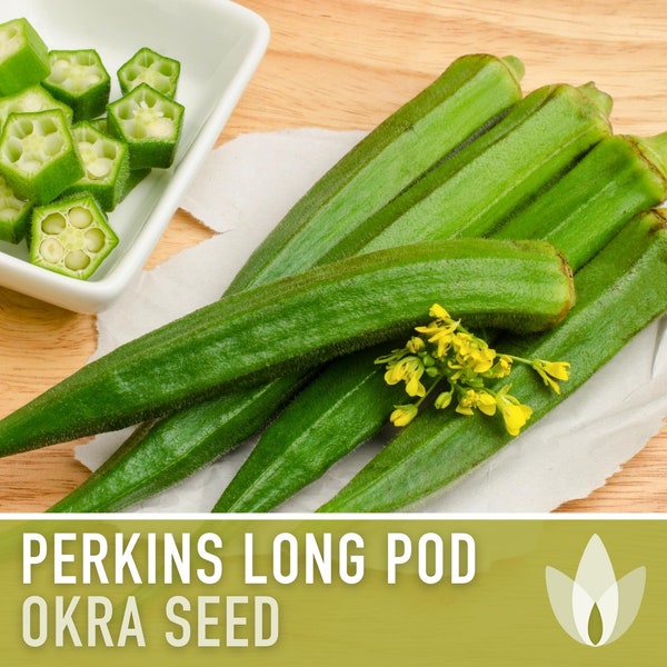 Perkins Long Pod Okra Seeds - Heirloom Seeds, Early Harvest, High Yield, Gumbo, Open Pollinated, Non-GMO