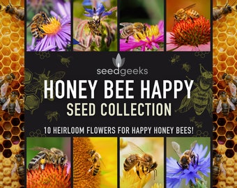 Honeybee Favorites Seed Collection - 10 délicieuses fleurs d'héritage pour les abeilles heureuses, cadeau de jardinier, anniversaire, bas de Noël, kit de graines