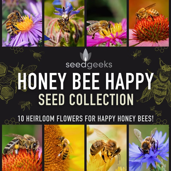 Honeybee Favorites Seed Collection - 10 Delightful Heirloom Flowers For Happy Honeybees, Gardener Gift, Birthday, Stocking Stuffer, Seed Kit