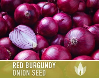 Red Burgundy Onion Seeds - Heirloom Seeds, Short Day, Mild Sweet Onion, Medium Sized, Allium Cepa, Open Pollinated, Non-GMO
