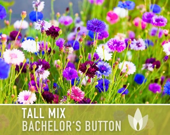 Bachelor's Button, Tall Mix Cornflower Heirloom Seeds, Flower Seeds, Wildflower