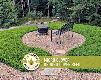 Micro (Mini) Clover Seeds | 25,000+ Seeds (1 oz), Drought Tolerant Lawn Alternative | Trifolium repens