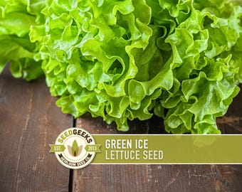 May include: A close-up of fresh, vibrant green lettuce with ruffled leaves. The image includes a logo that reads "SEEDGEEKS" and the text "GREEN ICE LETTUCE SEED" on a green banner. The lettuce is on a dark wooden surface.
