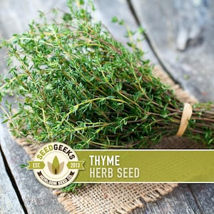 May include: A bundle of fresh thyme herbs, tied with twine, rests on a burlap cloth atop a weathered wooden surface. The thyme features small green leaves and slender stems. The image includes a logo with the text "Thyme Herb Seed".
