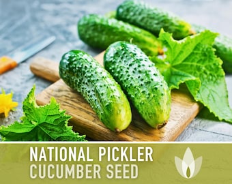 National Pickler Cucumber Seeds - Heirloom Seeds, Pickling Cucumber, High Yield, Mosaic Resistant, Cucumis Sativus, Open Pollinated, Non-GMO