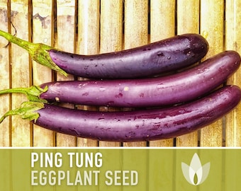 270 eggplant cheap