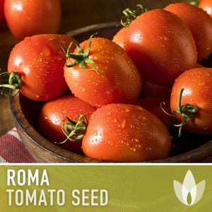 Roma Tomato Heirloom Seeds Paste Tomato, Seed Packet, Non-GMO, Open Pollinated image 8