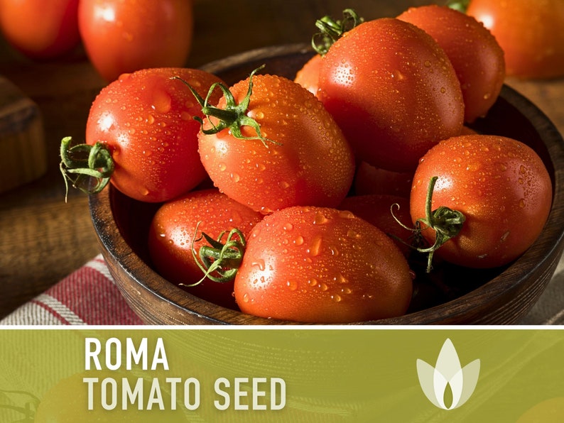 Roma Tomato Heirloom Seeds Paste Tomato, Seed Packet, Non-GMO, Open Pollinated image 8