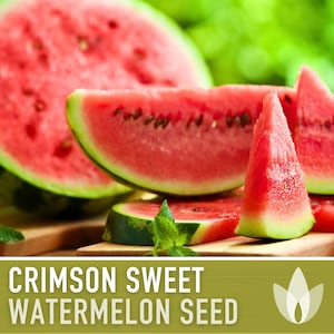 Crimson Sweet Watermelon Heirloom Seeds - Open Pollinated, Non GMO