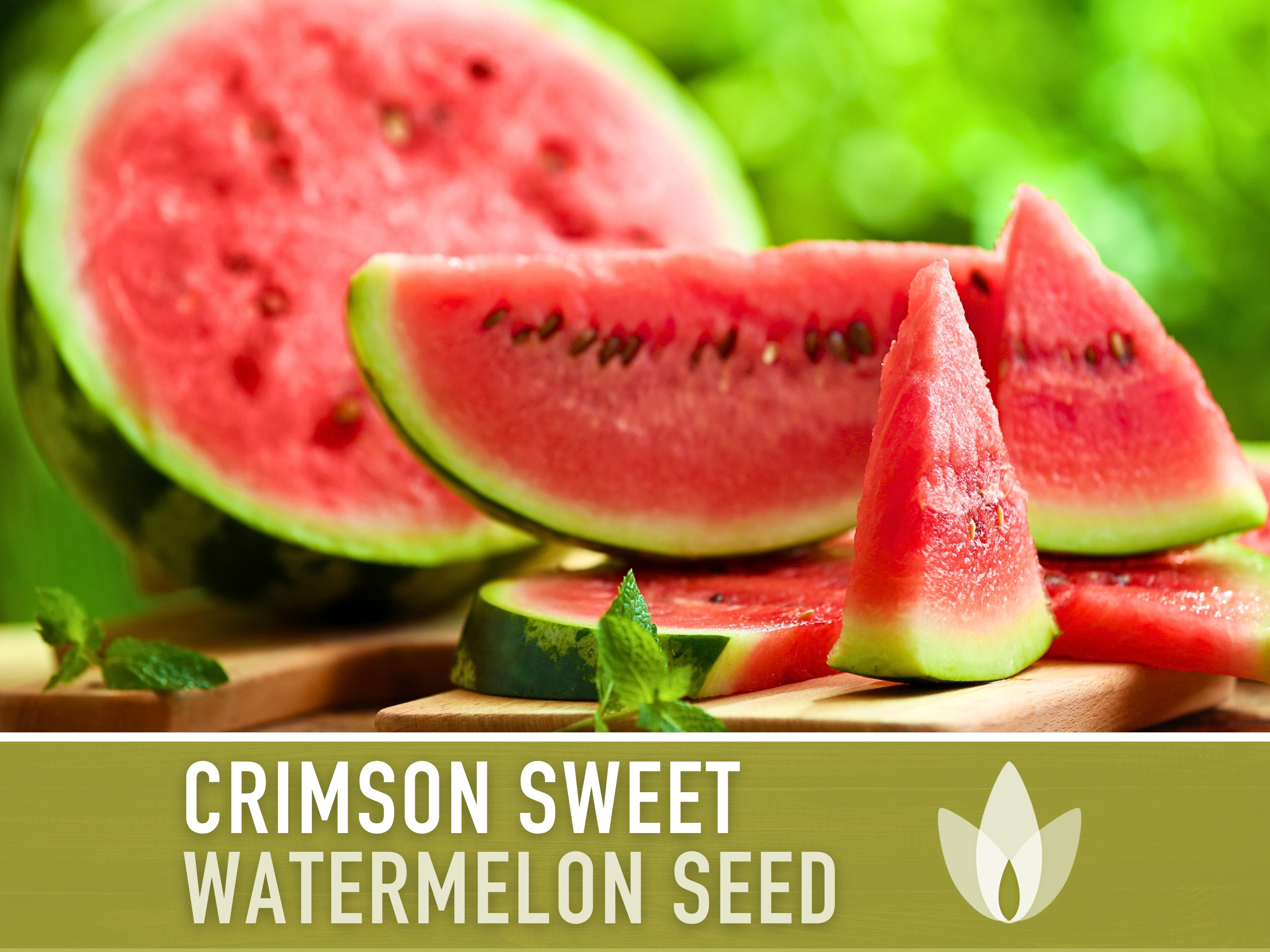 Semillas tradicionales de sandía dulce carmesí: polinización abierta, sin  OGM - Etsy México, image size:2700x2025