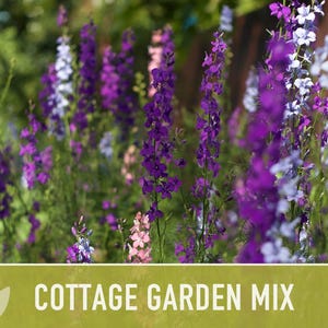 Cottage Garden Wildflower Seed Mix – Heirloom Antique Flowers bild 4