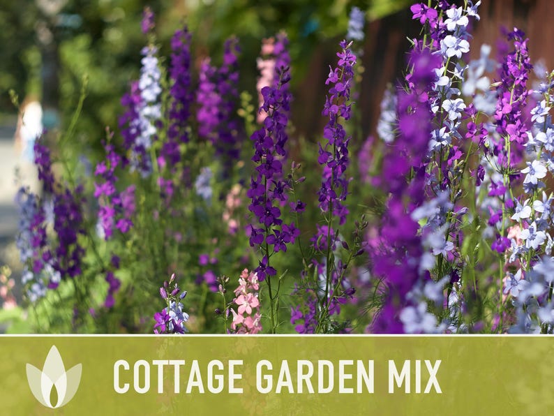 Cottage Garden Wildflower Seed Mix – Heirloom Antique Flowers bild 4