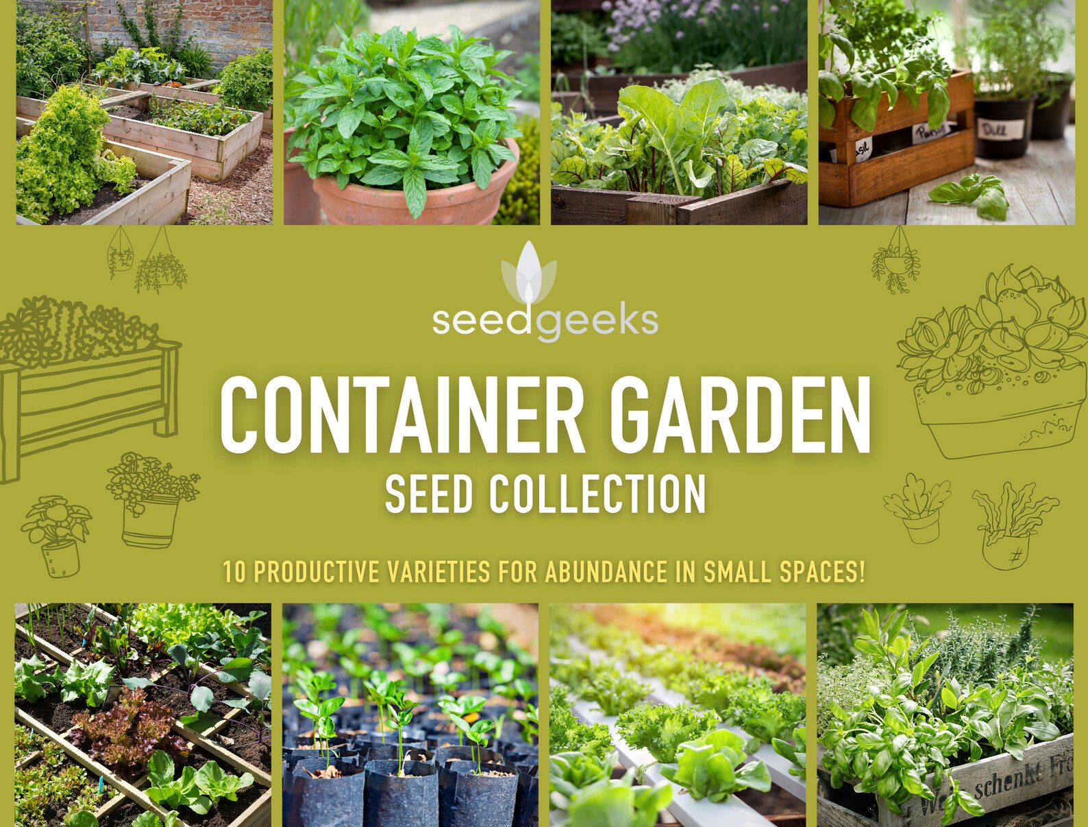 Container Garden Seed Collection 10 Productive Heirloom Etsy
