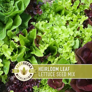 May include: A close-up of a variety of fresh lettuce leaves in shades of green and red. The image includes a logo that reads "Seed Geeks" and "Heirloom Leaf Lettuce Seed Mix."