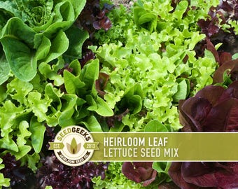 Heirloom Lettuce Seed Mix - Open Pollinated, Non GMO