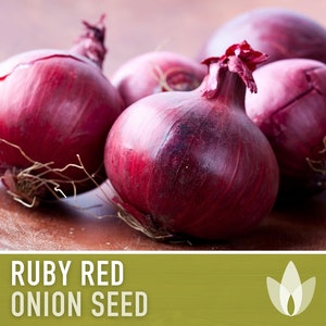 May include: Close-up of four ruby red onions on a wooden surface. The onions are large and have a deep red color. The text "RUBY RED ONION SEED" is displayed below the image.