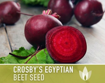 Crosby's Egyptian Beet Seeds - Heirloom Seeds, German Heirloom, Early Maturing, Red Sweet Flesh, Beta Vulgaris, Open Pollinated, Non-GMO