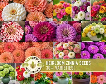 Zinnia Flower Seeds | 30+ Heirloom Varieties, Cut Flowers, Colorful, Pollinator Garden, Zinnia elegans