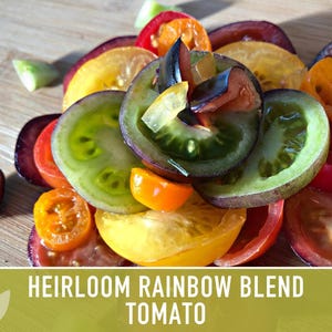 Heirloom Rainbow Blend Tomato Seeds | 30+ Non-GMO, Open Pollinated, Organic, Colorful Varieties Lycopersicon lycopersicum image 6