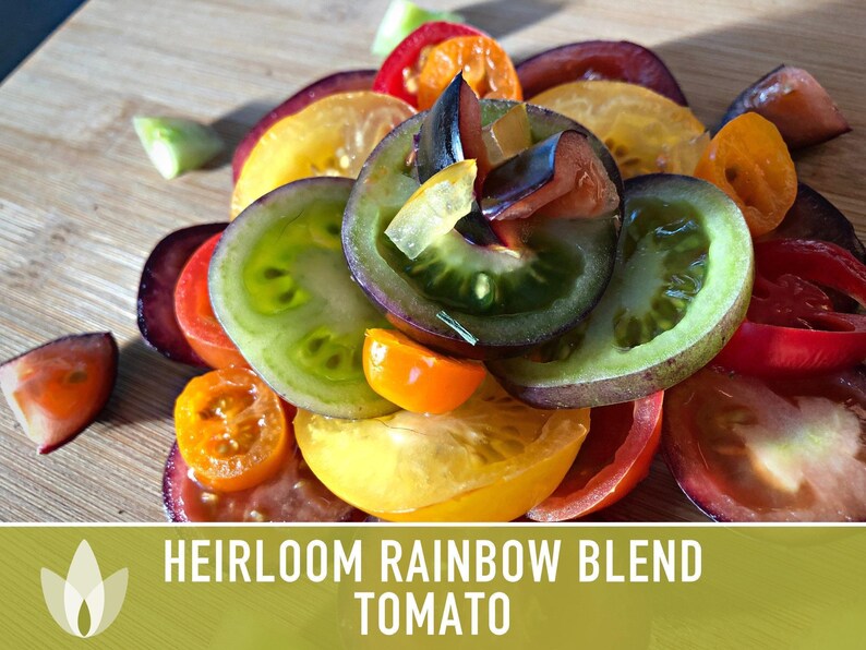 Heirloom Rainbow Blend Tomato Seeds | 30+ Non-GMO, Open Pollinated, Organic, Colorful Varieties Lycopersicon lycopersicum image 6