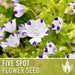 see more listings in the Flower Seeds section