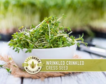 Cress Seeds, Wrinkled Crinkled, Heirloom Non-GMO