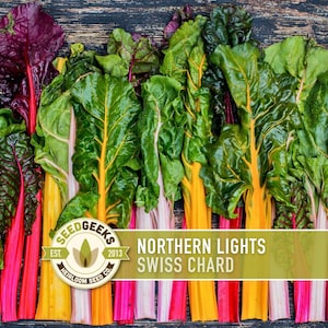 May include: A vibrant image of fresh Swiss chard, featuring a variety of colors including green, red, yellow, and white. The leaves are lush and the stems are thick. The text "NORTHERN LIGHTS SWISS CHARD" is displayed on a banner.
