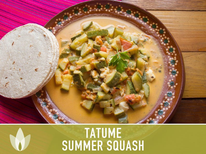 SeedGeeks Tatume Summer Squash Seeds - Thumbnail 3
