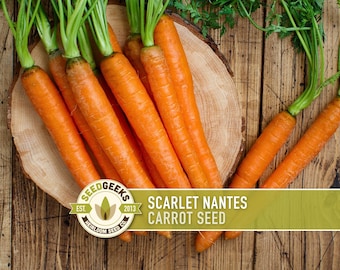 Scarlet Nantes Carrot Heirloom Seeds