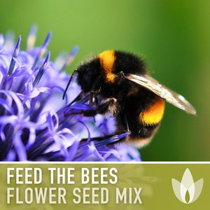 May include: A bumblebee collects nectar from a purple flower. The text "FEED THE BEES FLOWER SEED MIX" is displayed on a green background.