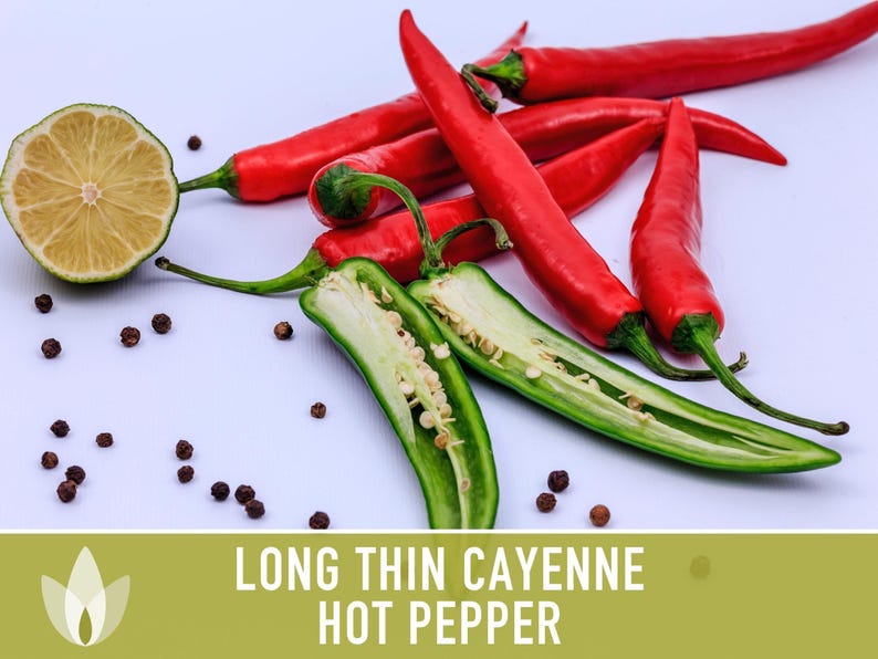 Cayenne Pepper Seeds - Long Thin Red Hot Peppers, Non-GMO image 11