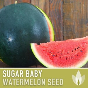 Sugar Baby Watermelon Heirloom Seeds